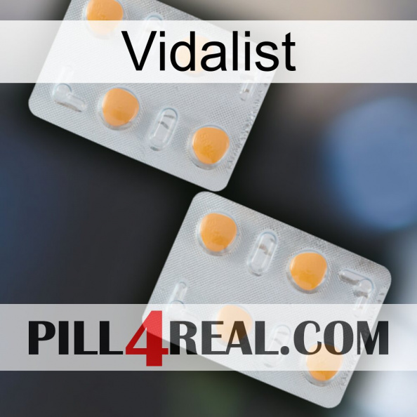 Vidalist 25.jpg